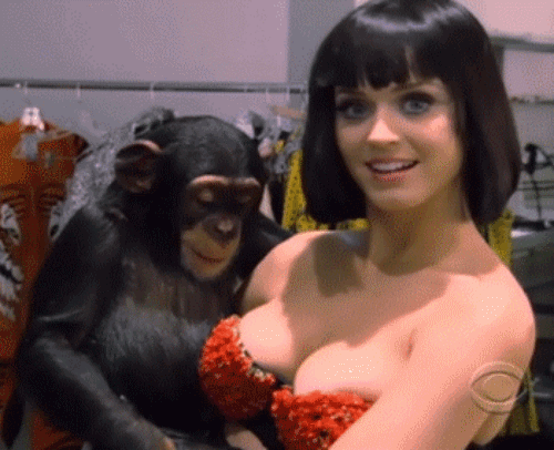 giphy (2).gif