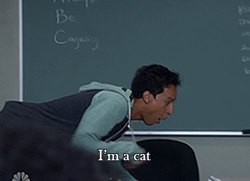 giphy (7).gif