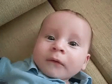 giphy (9).gif