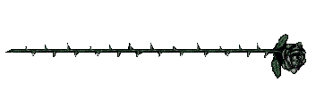 Hinh-anh-dong-dep-ve-hoa-hong-ruc-ro-sac-mau- (24).gif
