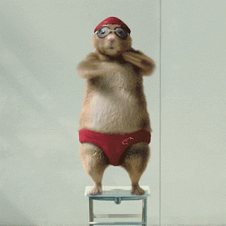 Hinh-Anh-Dong-Hai-Huoc-Ve-Dong-Vat- (2).gif