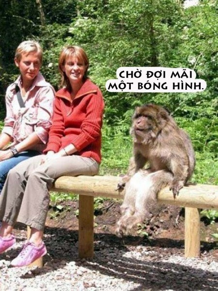 Hinh-anh-vui-khi-vuon-duoi-uoi_16.jpg