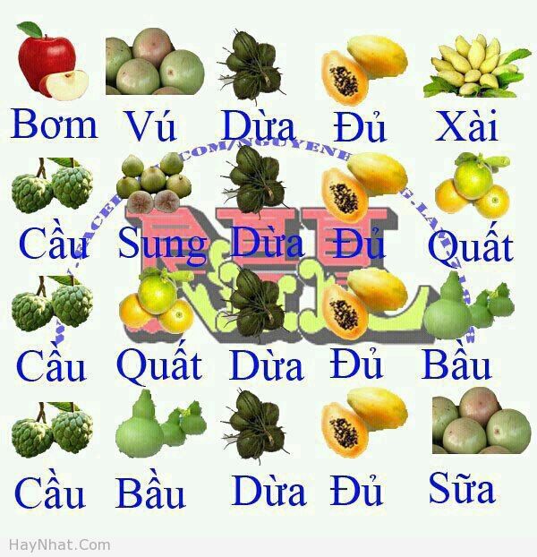 hinh-anh-vui-mam-ngu-qua.jpg