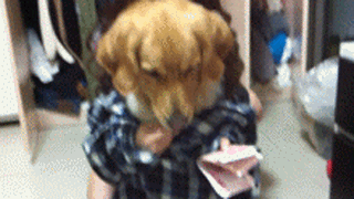 hinh-dong-hai-huoc-18.gif