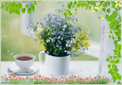 image.gif