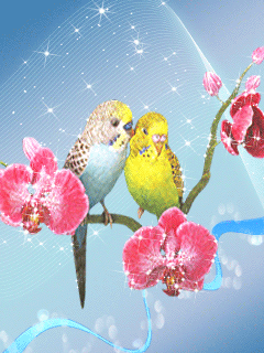 image.gif