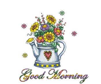 image.gif