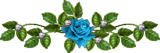 image.gif