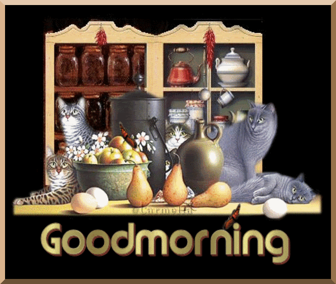image.gif