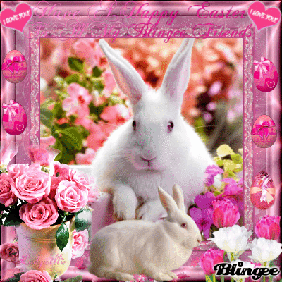 image.gif