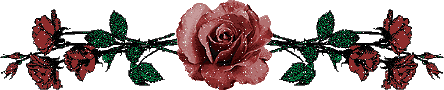 image.gif