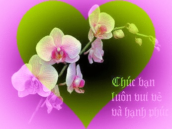 image.gif
