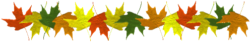 image.gif