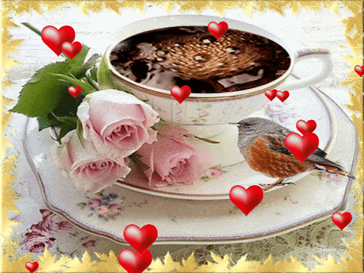 image.gif