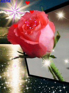 image.gif