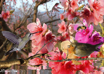 image.gif