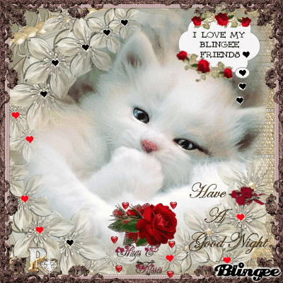 image.gif