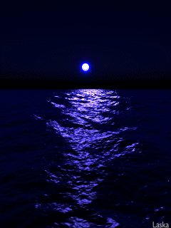 image.gif