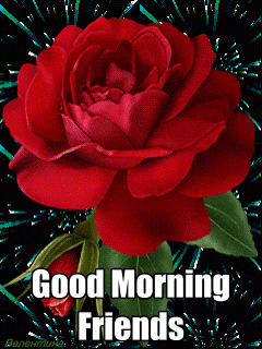 image.gif