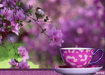 image.gif