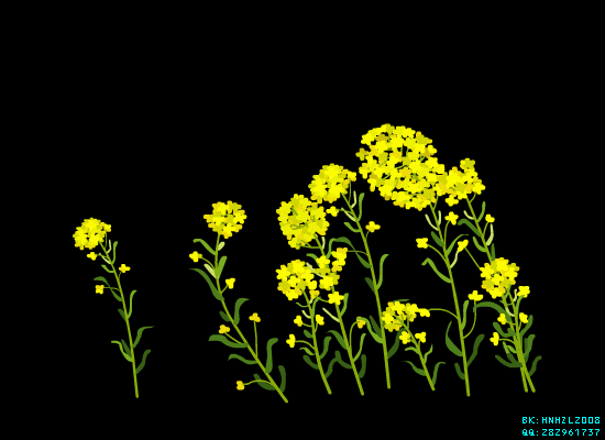 image.gif