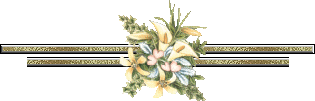 image.gif