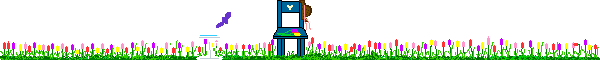 image.gif