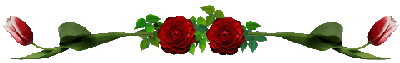 image.gif