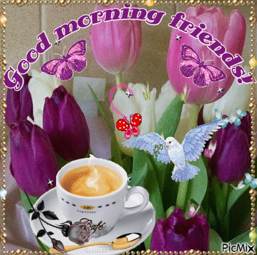 image.gif