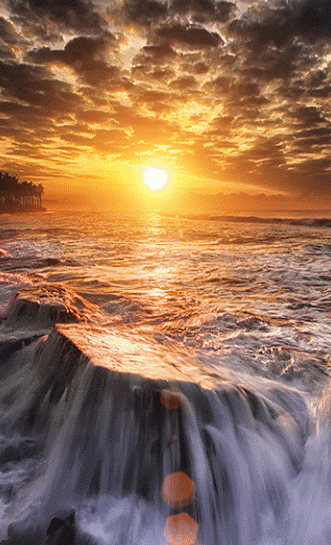 image.gif