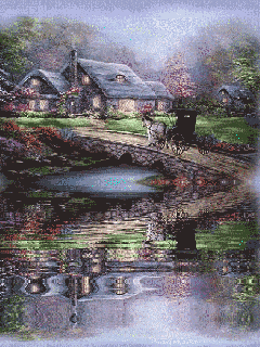 image.gif