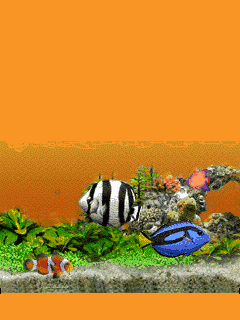image.gif
