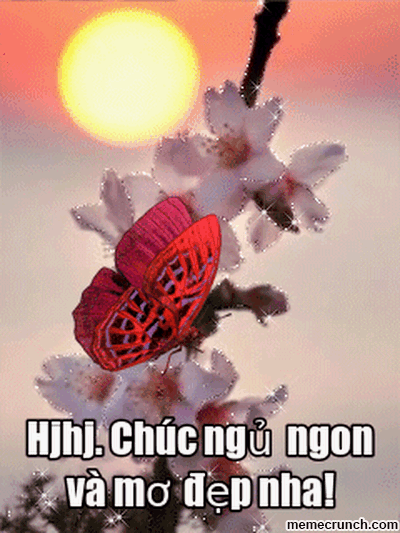 image.gif