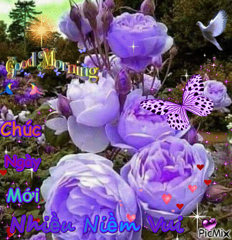 image.gif