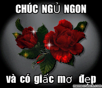 image.gif