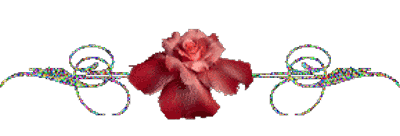 image.gif