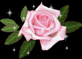 image.gif