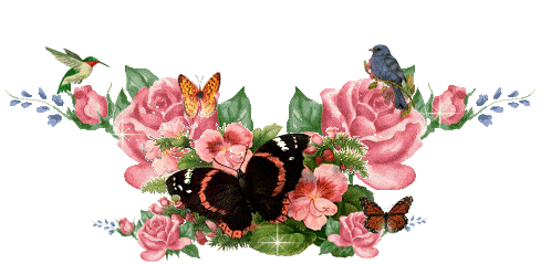 image.gif