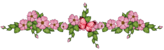 image.gif