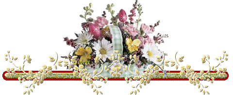 image.gif