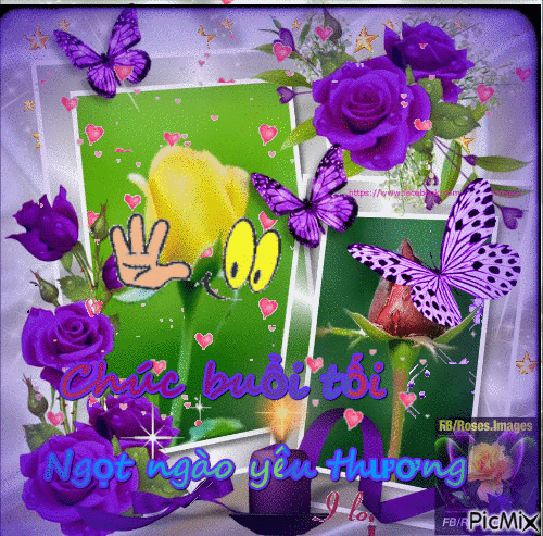 image.gif