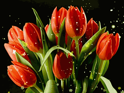 image.gif