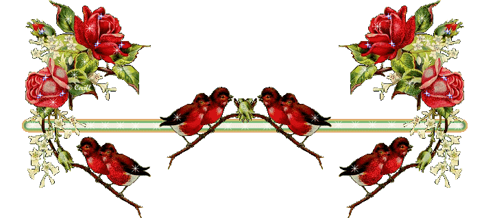 image.gif