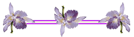 image.gif