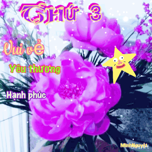 image.gif