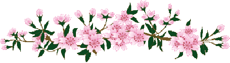 image.gif