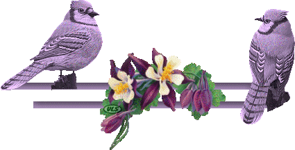 image.gif
