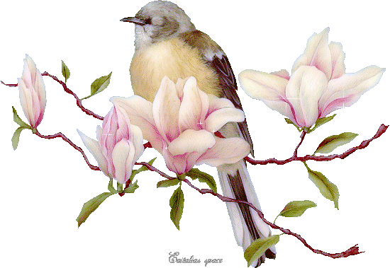 image.gif