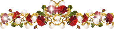 image.gif