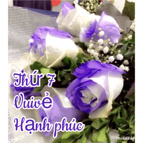 image.gif